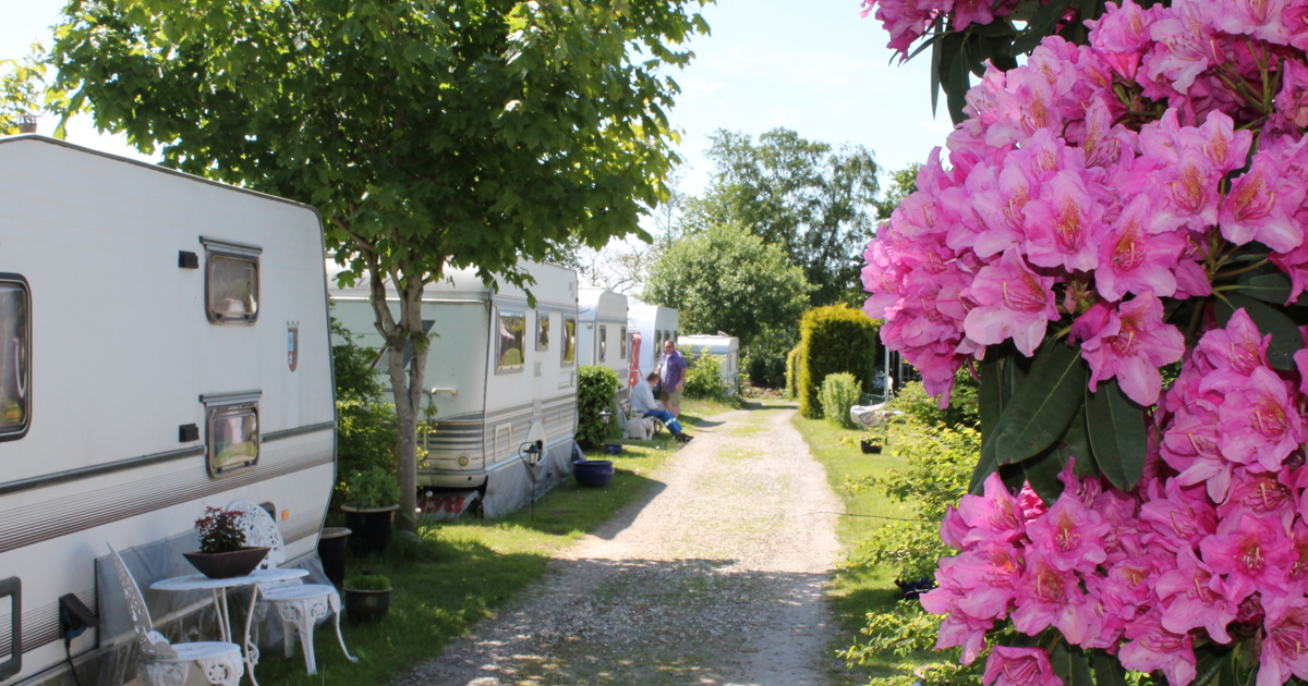 Nordsjællands Feriepark & Camping - Main photo
