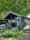 Dunkelgrüne Holzhütte mit kleiner Terrasse, umgeben von Pflanzen und hohen Bäumen.