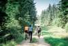 Cycling group on a forest path near Vedersø Strand Camping.
