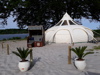 Glamping tent on the beach at Svendborg Sund with sea view and palm trees.