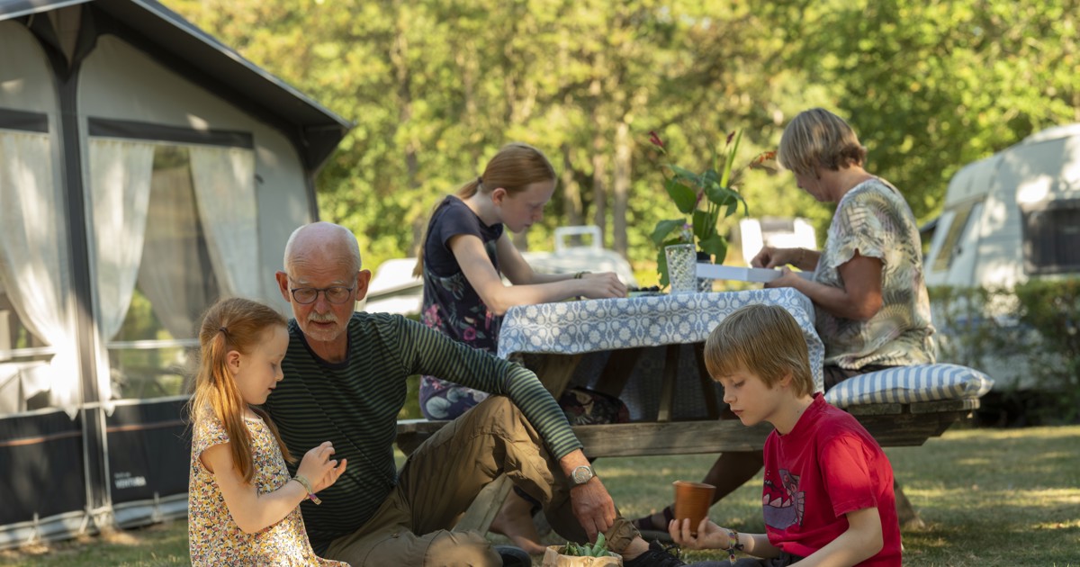Bedsteforældre camping