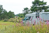 Autocamper på grøn campingplads omgivet af blomster og træer.