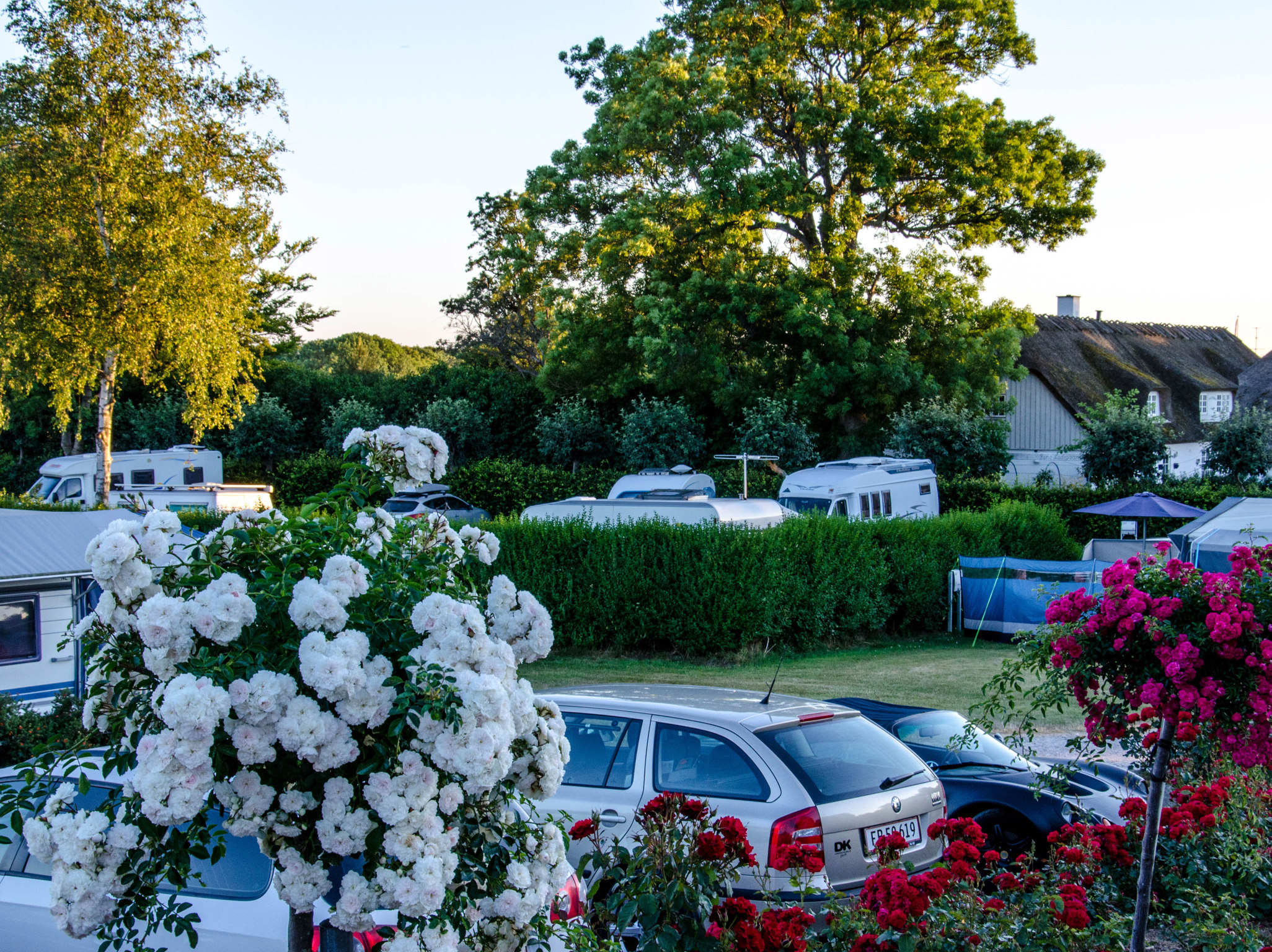Elseg rde Camping Ebeltoft Elseg rde Camping Ebeltoft