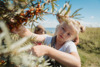 Girl picking sea buckthorn near Vedersø Strand Camping.